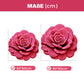 🌺Befristetes Angebot 🔥Bodenmatte aus Plüsch & Diatomeenerde in Blumenform