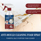 🔥Last Day Sale 49% Rabatt🔥Anti-Schimmel-Reinigungsschaumspray
